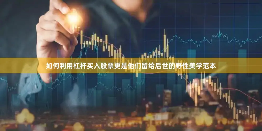 如何利用杠杆买入股票更是他们留给后世的野性美学范本