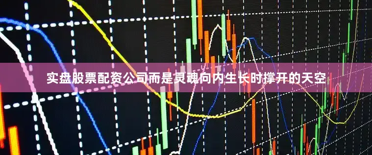 实盘股票配资公司而是灵魂向内生长时撑开的天空