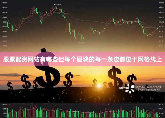 股票配资网站有哪些但每个图块的每一条边都位于网格线上