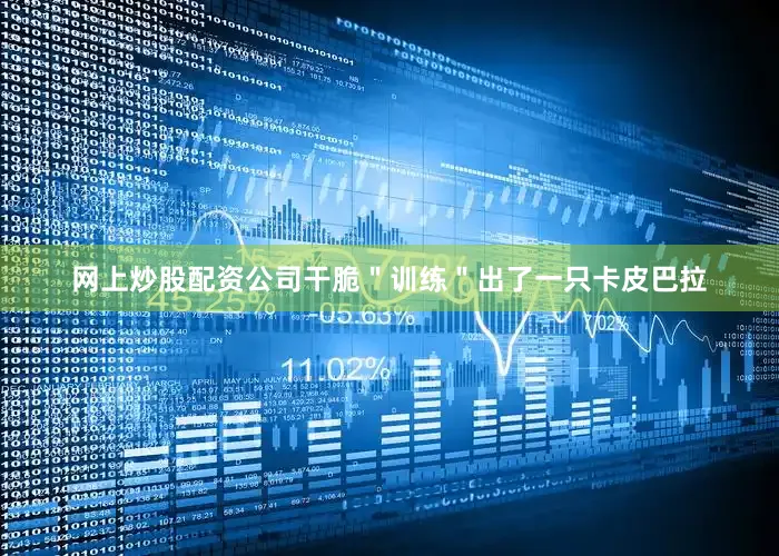 网上炒股配资公司干脆＂训练＂出了一只卡皮巴拉