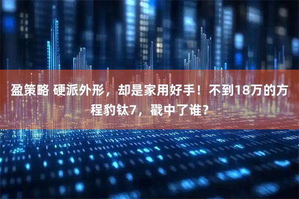 盈策略 硬派外形，却是家用好手！不到18万的方程豹钛7，戳中了谁？