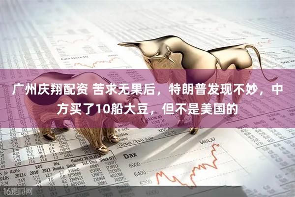 广州庆翔配资 苦求无果后，特朗普发现不妙，中方买了10船大豆，但不是美国的