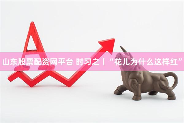 山东股票配资网平台 时习之丨“花儿为什么这样红”