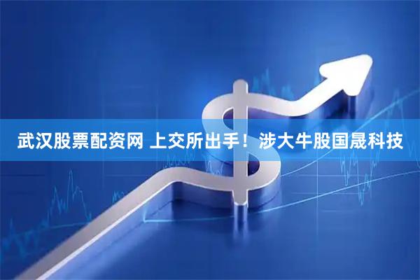 武汉股票配资网 上交所出手！涉大牛股国晟科技